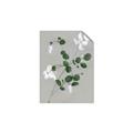 Picture of White flower IV _GroupedProduct_Rectangle_Portrait_Unframed_Print_Only_