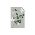 Picture of White flower IV _GroupedProduct_Rectangle_Portrait_Unframed_Print_Only_