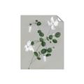 Picture of White flower IV _GroupedProduct_Rectangle_Portrait_Unframed_Print_Only_