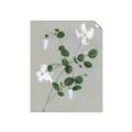 Picture of White flower IV _GroupedProduct_Rectangle_Portrait_Unframed_Print_Only_