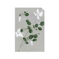 Picture of White flower IV _GroupedProduct_Rectangle_Portrait_Unframed_Print_Only_