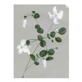 Picture of White flower IV _GroupedProduct_Rectangle_Portrait_Unframed_Print_Only_