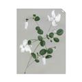 Picture of White flower IV _GroupedProduct_Rectangle_Portrait_Unframed_Print_Only_