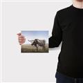 Picture of Roaming Around _GroupedProduct_Rectangle_Landscape_Canvas_