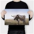 Picture of Roaming Around _GroupedProduct_Rectangle_Landscape_Canvas_