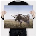 Picture of Roaming Around _GroupedProduct_Rectangle_Landscape_Canvas_