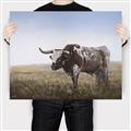 Picture of Roaming Around _GroupedProduct_Rectangle_Landscape_Canvas_