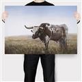 Picture of Roaming Around _GroupedProduct_Rectangle_Landscape_Canvas_