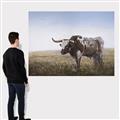 Picture of Roaming Around _GroupedProduct_Rectangle_Landscape_Canvas_