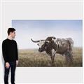 Picture of Roaming Around _GroupedProduct_Rectangle_Landscape_Canvas_