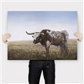 Picture of Roaming Around _GroupedProduct_Rectangle_Landscape_Canvas_