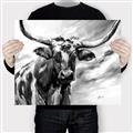Picture of Longhorn Larry _GroupedProduct_Rectangle_Landscape_Canvas_