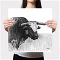 Picture of Sketched Horned Cow _GroupedProduct_Square_Canvas_