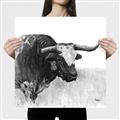 Picture of Sketched Horned Cow _GroupedProduct_Square_Canvas_