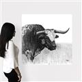 Picture of Sketched Horned Cow _GroupedProduct_Square_Canvas_