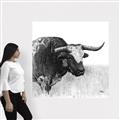Picture of Sketched Horned Cow _GroupedProduct_Square_Canvas_