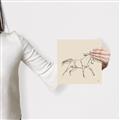 Picture of Sketched Horse II  _GroupedProduct_Square_Canvas_