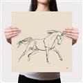 Picture of Sketched Horse II  _GroupedProduct_Square_Canvas_
