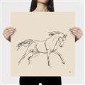 Picture of Sketched Horse II  _GroupedProduct_Square_Canvas_