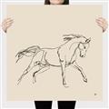 Picture of Sketched Horse II  _GroupedProduct_Square_Canvas_