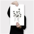 Picture of Black Botanical I  _GroupedProduct_Rectangle_Portrait_Canvas_
