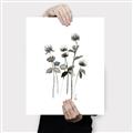 Picture of Black Botanical I  _GroupedProduct_Rectangle_Portrait_Canvas_