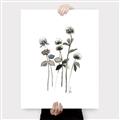 Picture of Black Botanical I  _GroupedProduct_Rectangle_Portrait_Canvas_