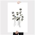 Picture of Black Botanical I  _GroupedProduct_Rectangle_Portrait_Canvas_