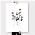 Picture of Black Botanical I  _GroupedProduct_Rectangle_Portrait_Canvas_