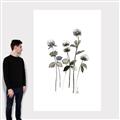 Picture of Black Botanical I  _GroupedProduct_Rectangle_Portrait_Canvas_