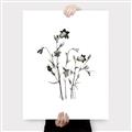 Picture of Black Botanical II  _GroupedProduct_Rectangle_Portrait_Canvas_