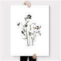 Picture of Black Botanical II  _GroupedProduct_Rectangle_Portrait_Canvas_