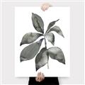 Picture of Black Watercolour Botanical I _GroupedProduct_Rectangle_Portrait_Canvas_
