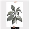 Picture of Black Watercolour Botanical I _GroupedProduct_Rectangle_Portrait_Canvas_