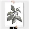 Picture of Black Watercolour Botanical I _GroupedProduct_Rectangle_Portrait_Canvas_