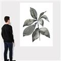 Picture of Black Watercolour Botanical I _GroupedProduct_Rectangle_Portrait_Canvas_