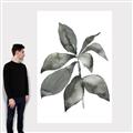 Picture of Black Watercolour Botanical I _GroupedProduct_Rectangle_Portrait_Canvas_