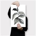 Picture of Black Watercolour Botanical II  _GroupedProduct_Rectangle_Portrait_Canvas_