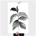 Picture of Black Watercolour Botanical II  _GroupedProduct_Rectangle_Portrait_Canvas_