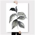 Picture of Black Watercolour Botanical II  _GroupedProduct_Rectangle_Portrait_Canvas_