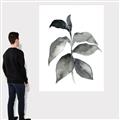 Picture of Black Watercolour Botanical II  _GroupedProduct_Rectangle_Portrait_Canvas_