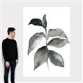 Picture of Black Watercolour Botanical II  _GroupedProduct_Rectangle_Portrait_Canvas_