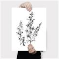 Picture of Whimsy Botanical I  _GroupedProduct_Rectangle_Portrait_Canvas_