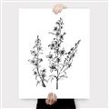 Picture of Whimsy Botanical I  _GroupedProduct_Rectangle_Portrait_Canvas_
