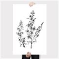 Picture of Whimsy Botanical I  _GroupedProduct_Rectangle_Portrait_Canvas_