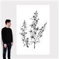 Picture of Whimsy Botanical I  _GroupedProduct_Rectangle_Portrait_Canvas_