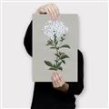 Picture of White flower I  _GroupedProduct_Rectangle_Portrait_Canvas_
