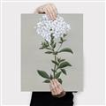 Picture of White flower I  _GroupedProduct_Rectangle_Portrait_Canvas_