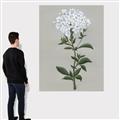 Picture of White flower I  _GroupedProduct_Rectangle_Portrait_Canvas_