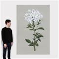Picture of White flower I  _GroupedProduct_Rectangle_Portrait_Canvas_
